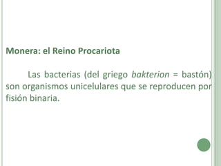 Monera: el Reino Procariota

      Las bacterias (del griego bakterion = bastón)
son organismos unicelulares que se reproducen por
fisión binaria.
 
