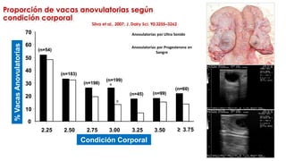 Introduccion_del_bloque_dreproduccionPPT | PDF