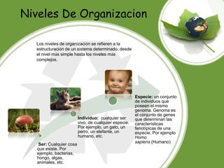 Niveles De Organizacion
Ser: Cualquier cosa
que existe. Por
ejemplo, bacterias,
hongo, algas,
animales, etc.
Individuo: cualquier ser
vivo, de cualquier especie.
Por ejemplo, un gato, un
perro, un elefante, un
humano, etc.
Especie: un conjunto
de individuos que
poseen el mismo
genoma. Genoma es
el conjunto de genes
que determinan las
características
fenotípicas de una
especie. Por ejemplo
Homo
sapiens (Humano)
Los niveles de organización se refieren a la
estructuración de un sistema determinado, desde
el nivel más simple hasta los niveles más
complejos.
 