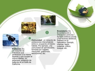 Población: Es
un conjunto de
individuos que
pertenecen a la misma
especie y que ocupan el
mismo hábitat. Un
estanque, población de
ballenas en el Golfo de
California.
Comunidad: un conjunto de
poblaciones interactuando
entre sí, ocupando el mismo
hábitat. Por ejemplo, una
comunidad de semidesierto,
formada por nopales,
mezquites, gramíneas,
escorpiones, etc.
Ecosistema: Es
la combinación e
interacción entre los
factores bióticos (vivos)
y los factores abióticos
(inertes) en la
naturaleza. Ejemplo,
charcas, lagos,
océanos, cultivo,
bosque, etc.
 