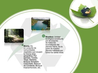 Bioma: Es
un conjunto de
comunidades
vegetales que ocupan
la misma área
geográfica. Por
ejemplo, Tundra,
Taiga, Desierto,
Bosque Templado
Caducifolio, Bosque
de Coníferas, Bosque
tropical lluvioso, etc.
Biosfera: Unidad
ecológica constituida
por el conjunto
de todos los
ecosistemas del
planeta Tierra. Es la
parte de nuestro
planeta habitada por
todos los seres vivos.
 