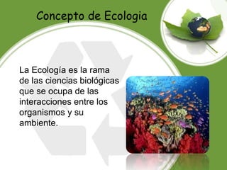 Concepto de Ecologia
La Ecología es la rama
de las ciencias biológicas
que se ocupa de las
interacciones entre los
organismos y su
ambiente.
 