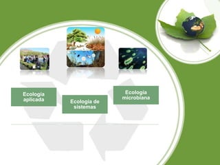 Ecología
aplicada Ecología de
sistemas
Ecología
microbiana
 