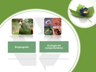 Biogeografía
Ecología del
comportamiento
 