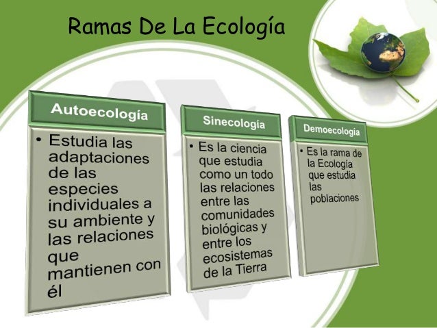 Introduccion ecologia