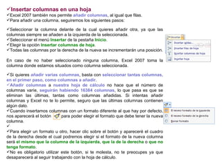 Insertar columnas en una hoja    Excel 2007 también nos permite  añadir columnas , al igual que filas.  Para añadir una columna, seguiremos los siguientes pasos:  Seleccionar la columna delante de la cual quieres añadir otra, ya que las columnas siempre se añaden a la izquierda de la seleccionada.  Seleccionar el menú  Insertar  de la pestaña  Inicio .  Elegir la opción  Insertar columnas de hoja .  Todas las columnas por la derecha de la nueva se incrementarán una posición.   En caso de no haber seleccionado ninguna columna, Excel 2007 toma la columna donde estamos situados como columna seleccionada.   Si quieres  añadir varias columnas , basta con  seleccionar tantas columnas, en el primer paso, como columnas a añadir .  Añadir columnas  a  nuestra hoja de cálculo  no hace que el número de columnas varíe,  seguirán habiendo 16384 columnas , lo que pasa es que se eliminan las últimas, tantas como columnas añadidas. Si intentas añadir columnas y Excel no te lo permite, seguro que las últimas columnas contienen algún dato.  Cuando insertamos columnas con un formato diferente al que hay por defecto, nos aparecerá el botón  para poder elegir el formato que debe tener la nueva columna. Para elegir un formato u otro, hacer clic sobre el botón y apareceré el cuadro de la derecha desde el cual podremos elegir si el formato de la nueva columna será  el mismo que la columna de la izquierda ,  que la de la derecha  o  que no tenga formato . No es obligatorio utilizar este botón, si te molesta, no te preocupes ya que desaparecerá al seguir trabajando con la hoja de cálculo. 