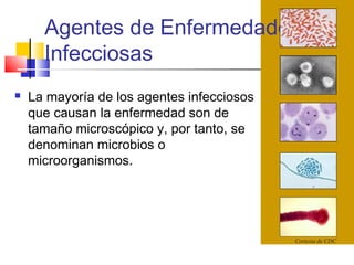 Agentes de Enfermedades
Infecciosas
Cortesia de CDC
 La mayoría de los agentes infecciosos
que causan la enfermedad son de
tamaño microscópico y, por tanto, se
denominan microbios o
microorganismos.
 