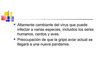  Altamente cambiante del virus que puede
infectar a varias especies, incluidos los seres
humanos, cerdos y aves.
 Preocupación de que la gripe aviar actual se
llegará a una nueva pandemia.
 