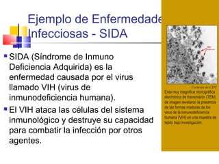 Ejemplo de Enfermedades
Infecciosas - SIDA
Cortesia de CDC
Esta muy magnifica micrográfica
electrónica de transmisión (TEM)
de imagen revelaron la presencia
de las formas maduras de los
virus de la inmunodeficiencia
humana (VIH) en una muestra de
tejido bajo investigación.
 SIDA (Síndrome de Inmuno
Deficiencia Adquirida) es la
enfermedad causada por el virus
llamado VIH (virus de
inmunodeficiencia humana).
 El VIH ataca las células del sistema
inmunológico y destruye su capacidad
para combatir la infección por otros
agentes.
 