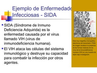 Ejemplo de Enfermedades
Infecciosas - SIDA
Cortesia de CDC
Esta muy magnifica micrográfica
electrónica de transmisión (TEM)
de imagen revelaron la presencia
de las formas maduras de los
virus de la inmunodeficiencia
humana (VIH) en una muestra de
tejido bajo investigación.
 SIDA (Síndrome de Inmuno
Deficiencia Adquirida) es la
enfermedad causada por el virus
llamado VIH (virus de
inmunodeficiencia humana).
 El VIH ataca las células del sistema
inmunológico y destruye su capacidad
para combatir la infección por otros
agentes.
 