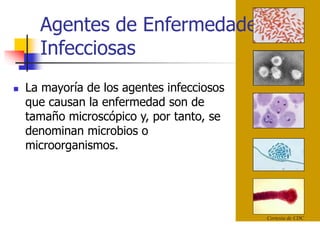 Agentes de Enfermedades
Infecciosas
Cortesia de CDC
 La mayoría de los agentes infecciosos
que causan la enfermedad son de
tamaño microscópico y, por tanto, se
denominan microbios o
microorganismos.
 