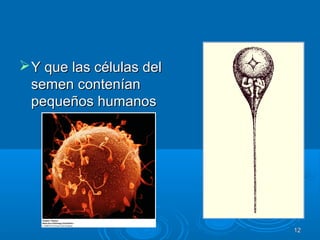 Y que las células delY que las células del
semen conteníansemen contenían
pequeños humanospequeños humanos
1212
 