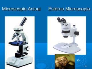 Microscopio Actual Estéreo MicroscopioMicroscopio Actual Estéreo Microscopio
1313
3D
 