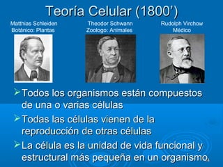Teoría Celular (1800Teoría Celular (1800’’))
Todos los organismos están compuestosTodos los organismos están compuestos
de una o varias célulasde una o varias células
Todas las células vienen de laTodas las células vienen de la
reproducción de otras célulasreproducción de otras células
La célula es la unidad de vida funcional yLa célula es la unidad de vida funcional y
estructural más pequeña en un organismoestructural más pequeña en un organismo1414
Matthias Schleiden
Botánico: Plantas
Theodor Schwann
Zoologo: Animales
Rudolph Virchow
Médico
 