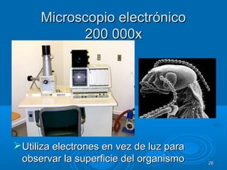 Microscopio electrónicoMicroscopio electrónico
200 000x200 000x
Utiliza electrones en vez de luz paraUtiliza electrones en vez de luz para
observar la superficie del organismoobservar la superficie del organismo 2626
 