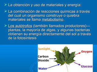  La obtención y uso de materiales y energía:La obtención y uso de materiales y energía:
 La combinación de reacciones químicas a travésLa combinación de reacciones químicas a través
del cual un organismo construye o quiebradel cual un organismo construye o quiebra
materiales se llamamateriales se llama metabolismometabolismo..
 Los autótrofosLos autótrofos (también llamados productores)—(también llamados productores)—
plantas, la mayoría de algas, y algunas bacteriasplantas, la mayoría de algas, y algunas bacterias
obtienen su energía directamente del sol a travésobtienen su energía directamente del sol a través
de la fotosíntesisde la fotosíntesis
 
