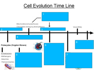 Tema 1: La ciencia de la
genética
1
3
7
8
4
5
6
2
 