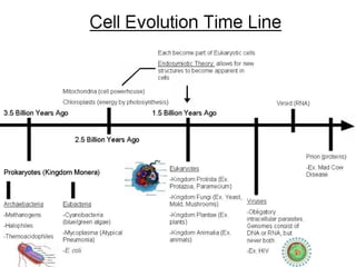 66
Learn the cell Evolution ChartLearn the cell Evolution Chart
 