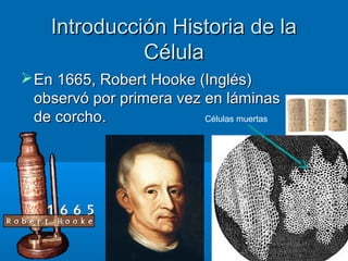 Introducción Historia de laIntroducción Historia de la
CélulaCélula
En 1665, Robert Hooke (Inglés)En 1665, Robert Hooke (Inglés)
observó por primera vez en láminasobservó por primera vez en láminas
de corcho.de corcho.
99
Células muertas
 