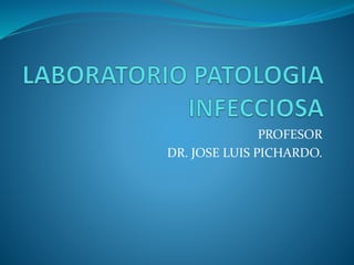 PROFESOR
DR. JOSE LUIS PICHARDO.
 