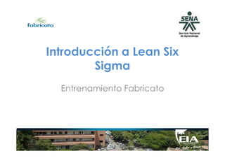 Introducción a Lean Six
Sigma
Entrenamiento Fabricato
 