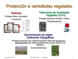 Módulo 4: Sistemas de Protección de las Variedades Veget