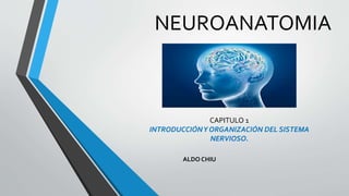 NEUROANATOMIA
CAPITULO 1
INTRODUCCIÓNY ORGANIZACIÓN DEL SISTEMA
NERVIOSO.
ALDO CHIU
 