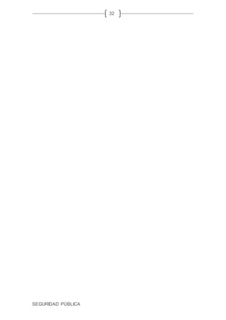 SEGURIDAD PÚBLICA
32
 