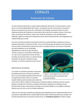 CORALES
                               Pulmones de Colores

La vasta extensión del océano y nuestra pobre exploración del mismo, nos hacen pensar a veces,
que es un mundo independiente del nuestro. Las especies que allí se encuentran, nos parecen
ajenas y los procesos que allí se dan, irrelevantes. Sin embargo, los océanos tienen una clara
importancia dentro de la biósfera e incluso dentro de la vida de los hombres mismos. Entre otras
cosas, nos proveen de alimento, sirven como medio de transporte y, más científicamente
hablando, regulan la temperatura del planeta y hacen parte fundamental de ciclos biogeoquímicos
indispensables para la vida.

Así como encontramos distintos ecosistemas terrestres, existen distintos ecosistemas marinos y
especies particulares en cada uno de ellos. Tal vez uno de los grupos de especies más importantes,
son los corales. Comúnmente se piensa que estos no cumplen más que una función ornamental;
que sólo embellecen el mar haciéndolo
agradable para miles de turistas de todo el
mundo y, aunque es un beneficio indiscutible, no
es ni de cerca el núcleo de la función de estos
animales, que le hacen honor a su denominación
de basales no sólo por lo simples sino por
constituir, en últimas, la base de la vida marina.



BENEFICIOS DE LOS CORALES

Los corales son animales coloniales compuestos
por pólipos que forman estructuras calcáreas             Figura 1. Gran Agujero Azul. Es parte del
que a su vez constituyen grandes extensiones de          Sistema de Reservas de la Barrera del
la superficie del lecho marino, en arrecifes.            Arrecife de Belice.
Cuando hablamos del ecosistema de arrecifes de
coral, éste se refiere a todas las interacciones y relaciones bióticas existentes entre las muchas
plantas y animales en el arrecife y a aquellas interacciones abióticas con el biotipo marino.
Durante miles de años, estas plantas y animales se han desarrollado en un complejo y dinámico
balance unos con otros y con sus medios ambientes.

Si bien se ha a menudo recalcado que cada pieza por pequeña que sea es importante dentro de un
ecosistema, indiscutiblemente, cuando hablamos de corales tenemos que decir que cumplen una
función particularmente crucial para la vida marina: son indicadores químicos. Al tolerar rangos
 