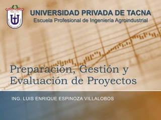 UNIVERSIDAD PRIVADA DE TACNA
       Escuela Profesional de Ingeniería Agroindustrial




Preparación, Gestión y
Evaluación de Proyectos
ING. LUIS ENRIQUE ESPINOZA VILLALOBOS
 