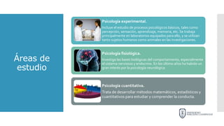 Áreas de
estudio
Psicología experimental.
Incluye el estudio de procesos psicológicos básicos, tales como
percepción, sensación, aprendizaje, memoria, etc. Se trabaja
principalmente en laboratorios equipados para ello, y se utilizan
tanto sujetos humanos como animales en las investigaciones.
Psicología fisiológica.
Investiga las bases biológicas del comportamiento, especialmente
el sistema nerviosos y endocrino. En los último años ha habido un
gran interés por la psicología neurológica
Psicología cuantitativa.
Trata de desarrollar métodos matemáticos, estadísticos y
cuantitativos para estudiar y comprender la conducta.
 