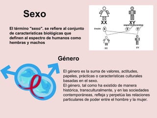 El término "sexo". se refiere al conjunto de características biológicas que definen al espectro de humanos como hembras y ...
