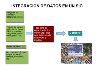 INTEGRACIÓN DE DATOS EN UN SIG
Imágenes de
satélite y
fotografías aéreas




Trabajo de campo         Todo esto se
en forma de datos
GPS, encuestas,          organiza dentro
fotografías, tomas       de un GIS, bajo   Consulta
de muestras, etc.        una determinada
                         estructura y
                         modelo

Bases de datos


Documentos, informes,
mapas en papel,
listados, directorios,
etc.
 