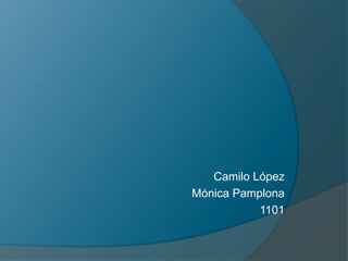 Camilo López
Mónica Pamplona
           1101
 