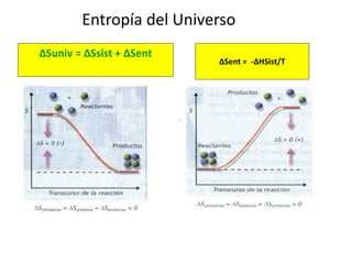Entropía del Universo
ΔSuniv = ΔSsist + ΔSent
ΔSent = -ΔHSist/T
 