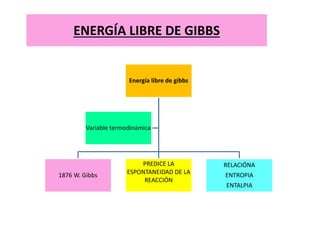 ENERGÍA LIBRE DE GIBBS
Energía libre de gibbs
1876 W. Gibbs
PREDICE LA
ESPONTANEIDAD DE LA
REACCIÓN
RELACIÓNA
ENTROPIA
ENTALPIA
Variable termodinámica
 
