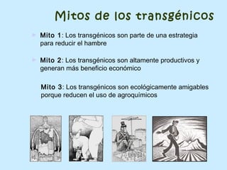 ► Mito 1: Los transgénicos son parte de una estrategia
para reducir el hambre
Mitos de los transgénicos
► Mito 2: Los transgénicos son altamente productivos y
generan más beneficio económico
Mito 3: Los transgénicos son ecológicamente amigables
porque reducen el uso de agroquímicos
 