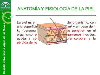 Hospital Universitario Virgen de las Nieves

ANATOMÍA Y FISIOLOGÍA DE LA PIEL
La piel es el órgano más grande del organismo, con
una superficie aproximada de 1,7 m2 y un peso de 4
kg (persona 70 Kg.), impide que penetren en el
organismo sustancias y microorganismos nocivos,
ayuda a controlar la temperatura corporal y la
pérdida de líquidos del organismo.

 