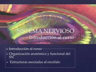 {
 Introducción al curso
 Organización anatómica y funcional del
SN
 Estructuras asociadas al encéfalo
SISTEMA NERVIOSO
Introducción al curso
 