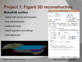Make/Edit surface
- Select main inputs and boundary
- Grid cell dimensions
- Additional inputs
- Select algorithm and settings
- Well adjustment
-Fig. 9. Edit/Make surface Menu-Fig. 8. Surface Reconstruction
Project 1: Figaró 3D reconstruction
 