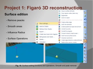 Surface edition
Fig. 10. Surface editing functions and operations. Smooth and peak remover
Project 1: Figaró 3D reconstruction
- Remove peacks
- Smooth areas
- Influence Radius
- Surface Operations
 