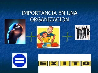 IMPORTANCIA EN UNA ORGANIZACION 