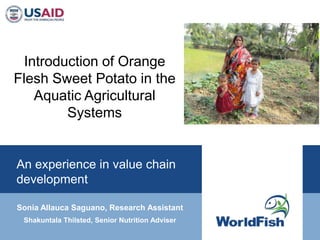 Introduction of Orange
Flesh Sweet Potato in the
    Aquatic Agricultural
         Systems


An experience in value chain
development

Sonia Allauca Saguano, Research Assistant
 Shakuntala Thilsted, Senior Nutrition Adviser
 