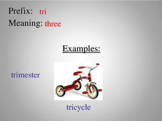Introduce Prefix and Suffix (Affixes)
