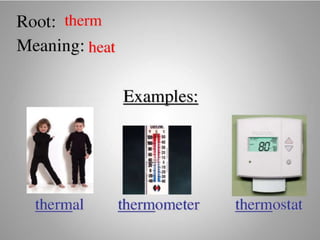 Introduce Prefix and Suffix (Affixes)