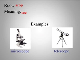 Introduce Prefix and Suffix (Affixes)