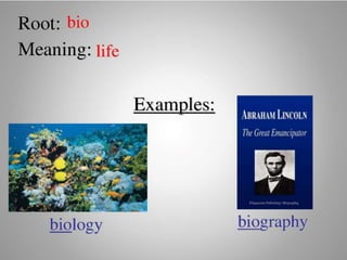 Introduce Prefix and Suffix (Affixes)