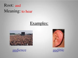 Introduce Prefix and Suffix (Affixes)