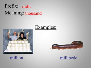 Milli Definition Math Introduce prefixes suffixes roots affixes power point | PPTX