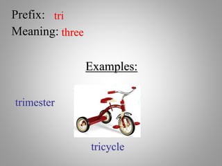 Prefix: tri
Meaning: three
Examples:
trimester
tricycle
 